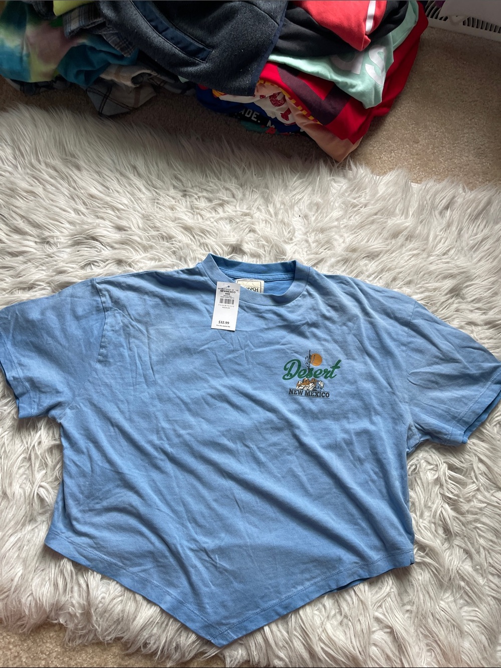 Desert New Mexico Light Blue Cropped Tee